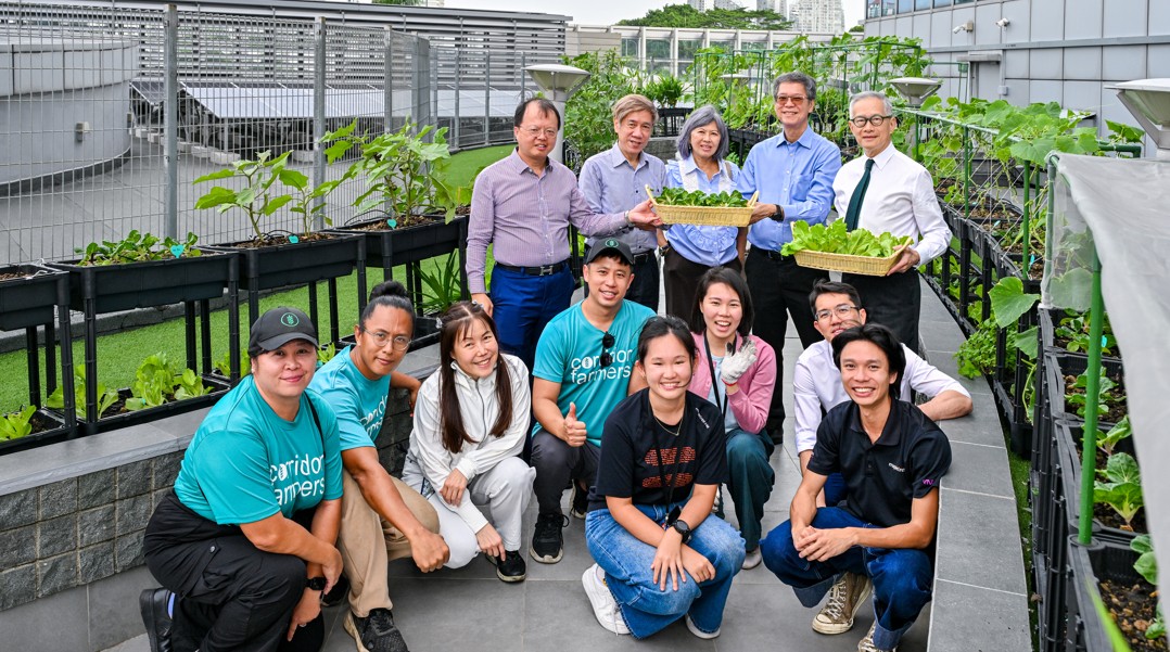 More than 30kg of crops harvested to date from Mapletree Edible Garden at Alexandra Retail Centre